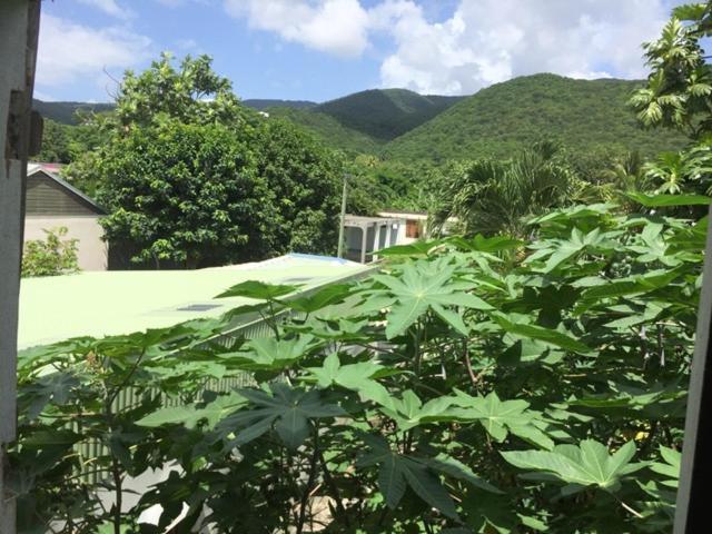 Habitation Baliache - Maison Creole Avec Jardin Privatif, Plage A 200M Deshaies Exteriör bild